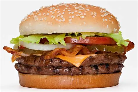mega burger