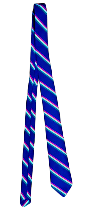 School Tie from the NRS school shop